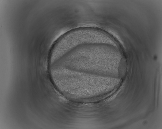 X0000094221165200711241715