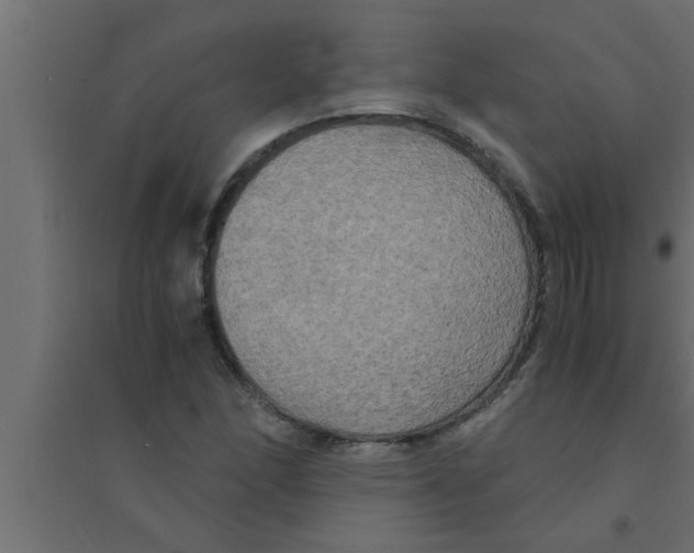 X0000094221166200711241715