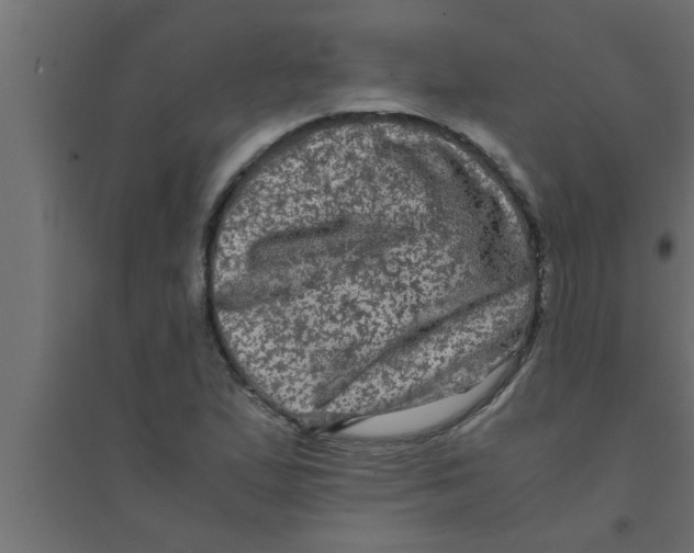 X0000094221167200711241715