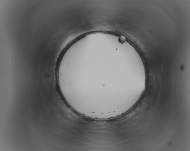 X0000094221168200711241715