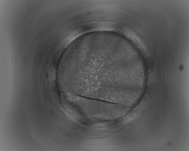 X0000094221169200711241715