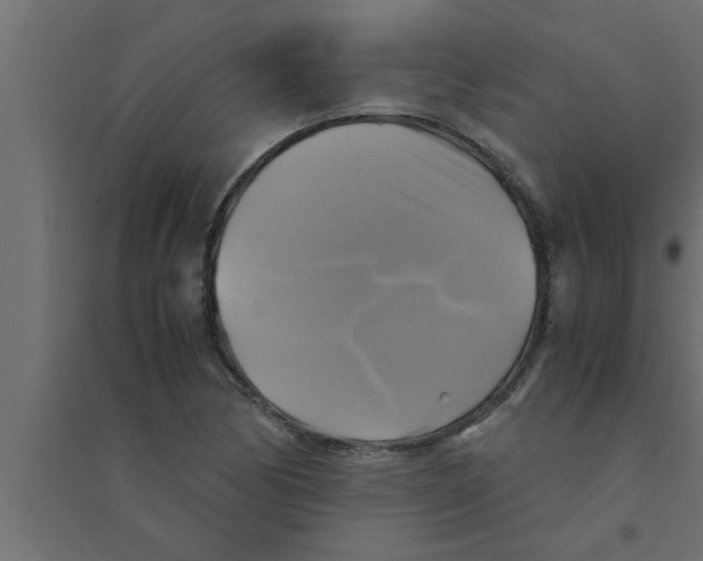 X0000094221170200711241715