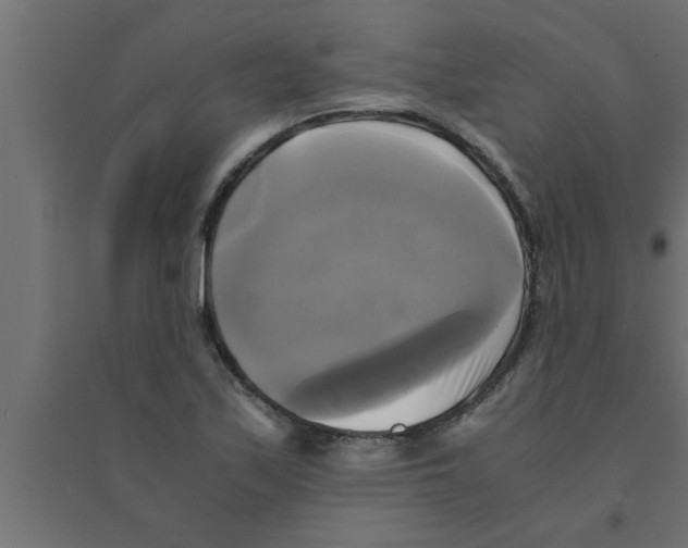 X0000094221171200711241715