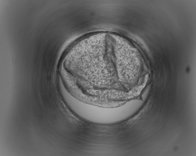 X0000094221172200711241715