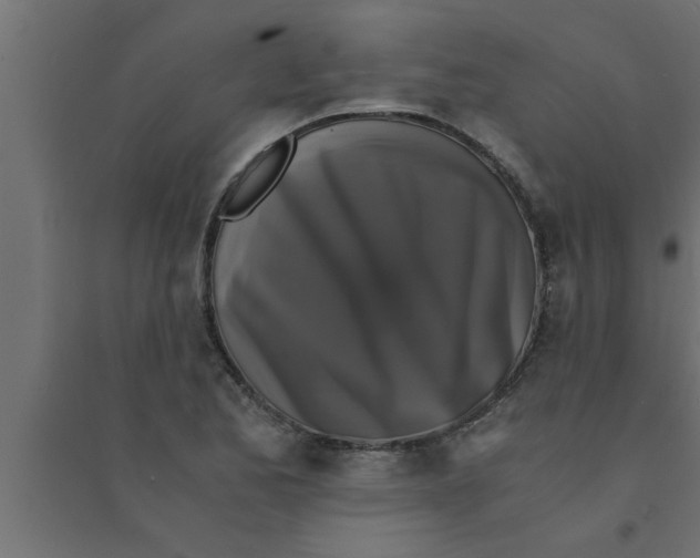 X0000094221173200711241715