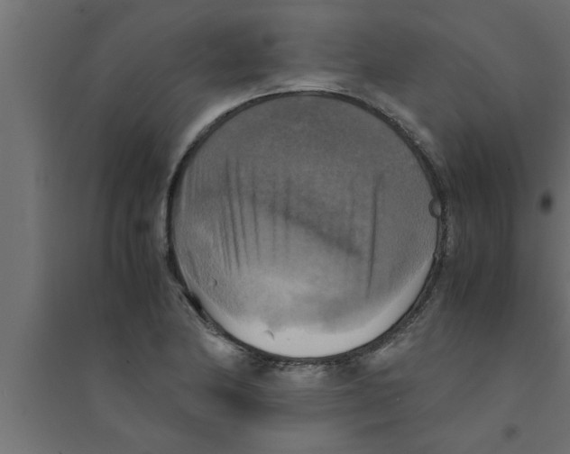 X0000094221174200711241715