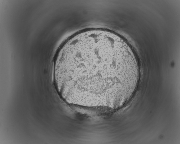 X0000094221175200711241715