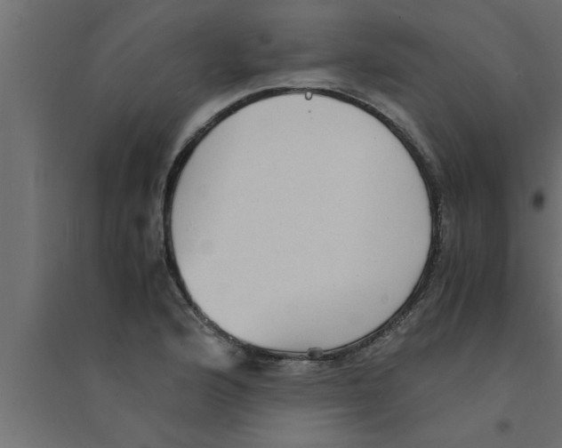 X0000094221176200711241715