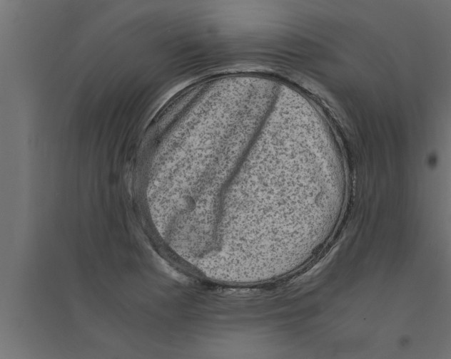 X0000094221177200711241715