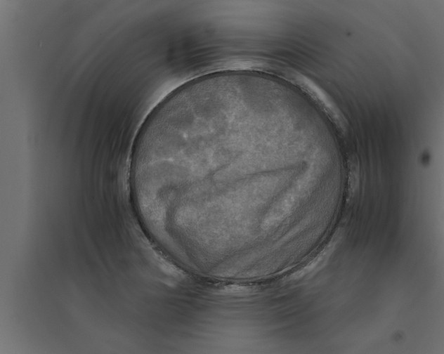 X0000094221178200711241715