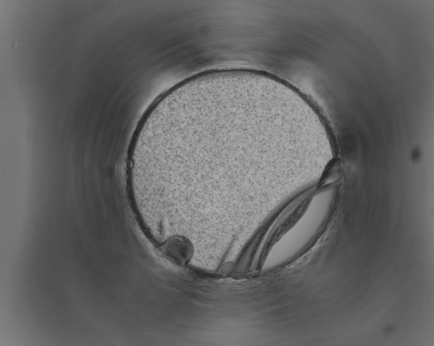 X0000094221181200711241715