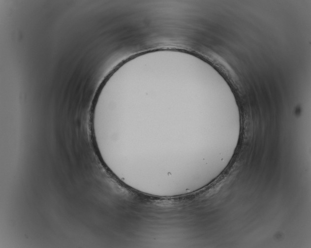 X0000094221182200711241715