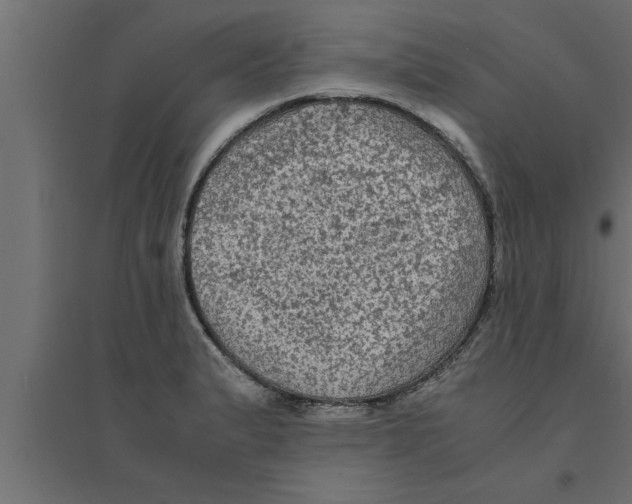 X0000094221183200711241715