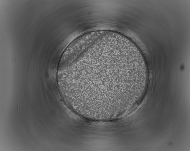 X0000094221185200711241715