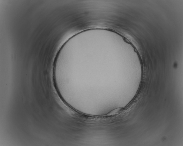 X0000094221187200711241715