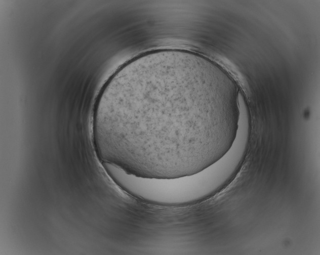 X0000094221188200711241715