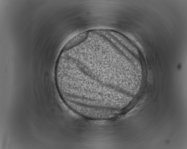 X0000094221189200711241715