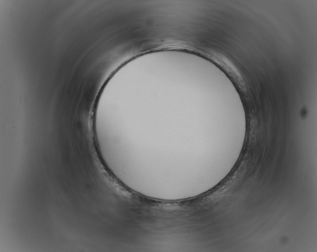 X0000094221190200711241715