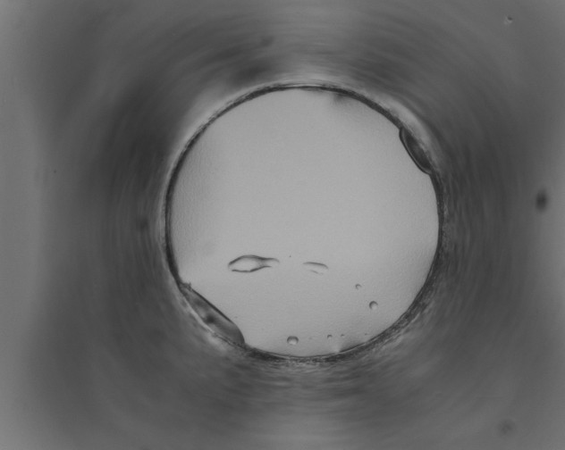 X0000094221191200711241715