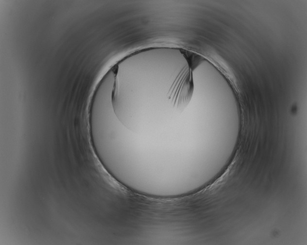 X0000094221192200711241715