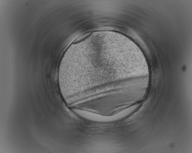 X0000094221193200711241715