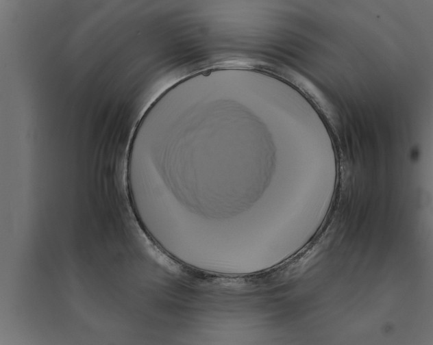 X0000094221194200711241715