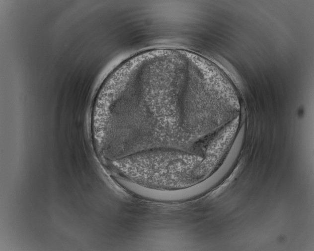 X0000094221196200711241715