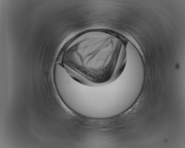 X0000094221197200711241715