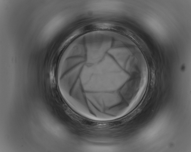 X0000094221198200711241715