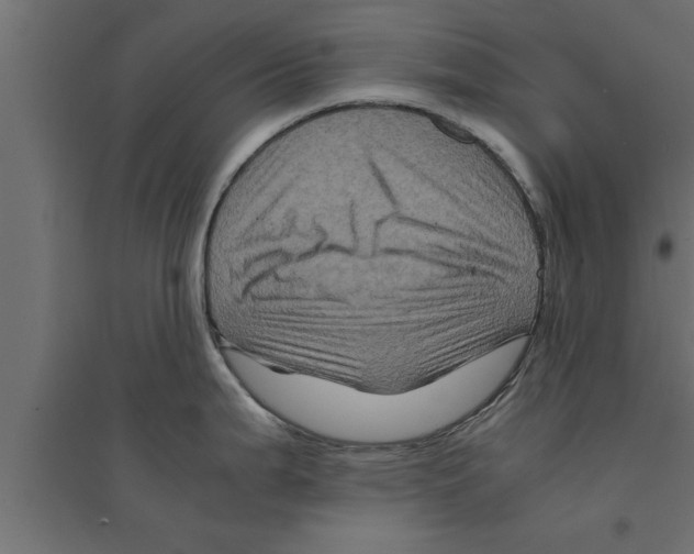 X0000094221199200711241715