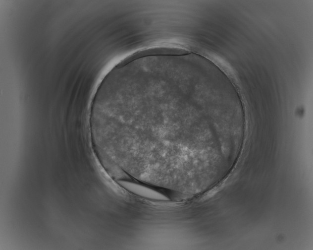 X0000094221200200711241715