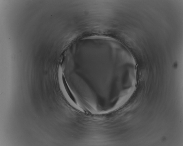 X0000094221202200711241714