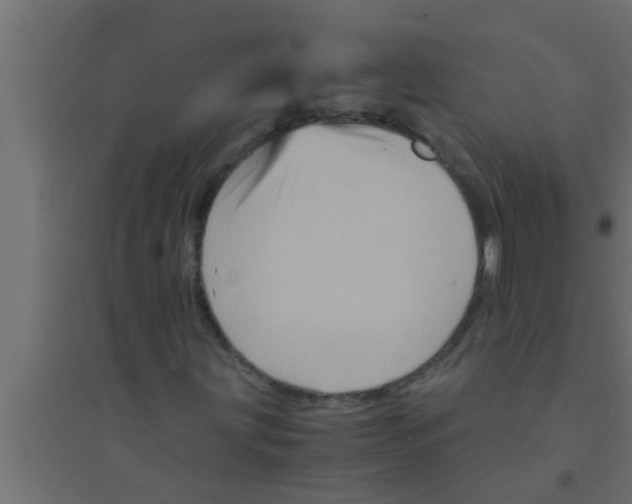 X0000094221203200711241714