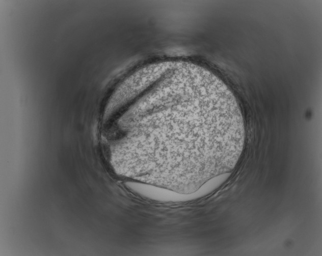 X0000094221205200711241714