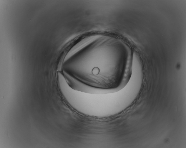 X0000094221206200711241714