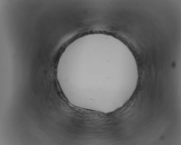 X0000094221207200711241714