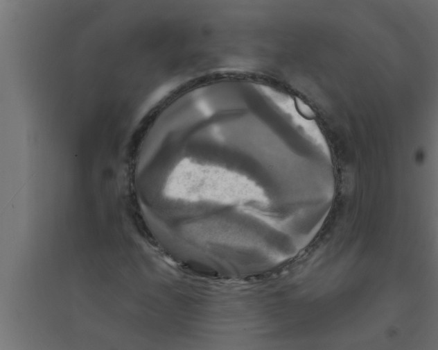 X0000094221208200711241714