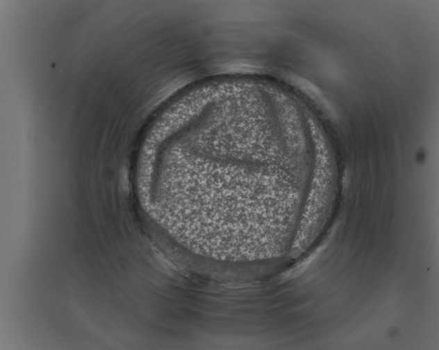 X0000094221209200711241714