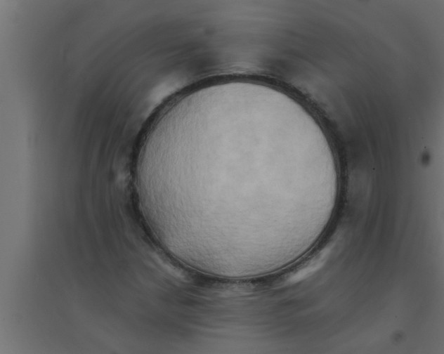 X0000094221210200711241714