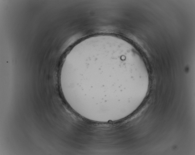 X0000094221211200711241714