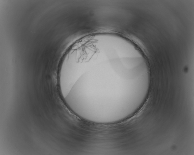 X0000094221212200711241714