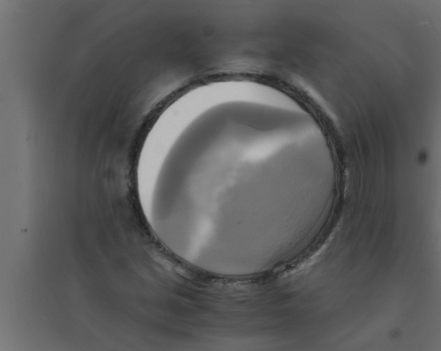 X0000094221213200711241714