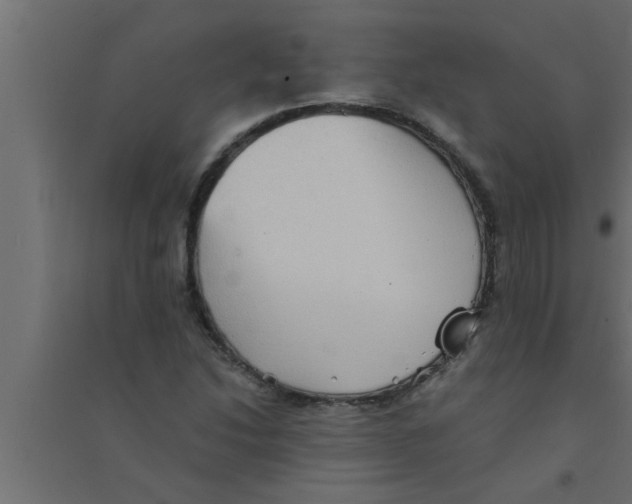 X0000094221214200711241714