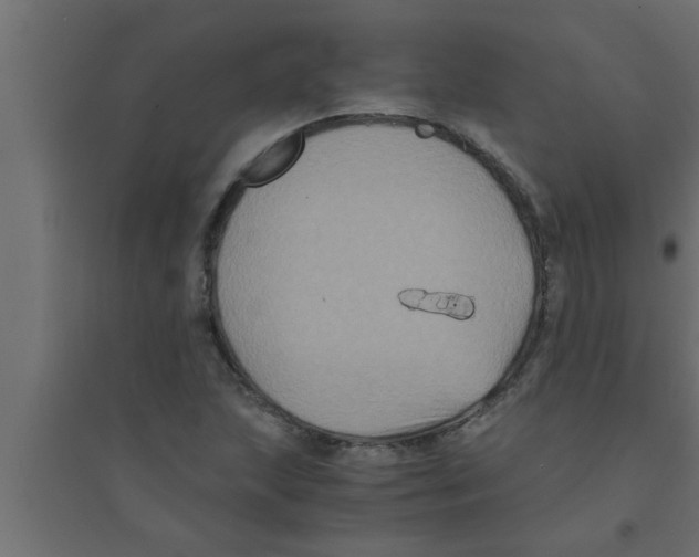 X0000094221215200711241714