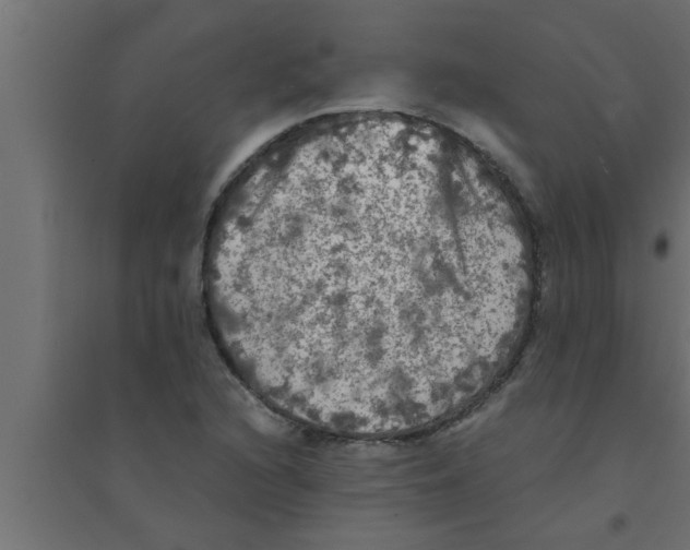 X0000094221216200711241714