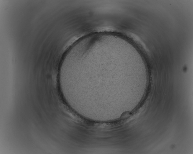 X0000094221217200711241714