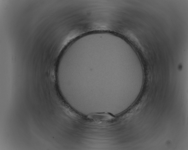 X0000094221218200711241714