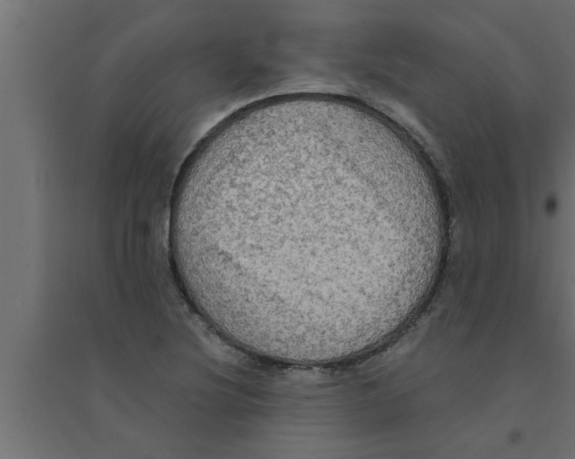 X0000094221220200711241714