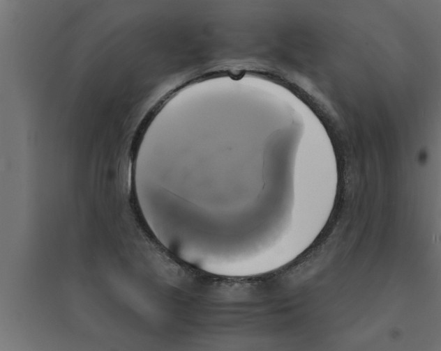 X0000094221221200711241714