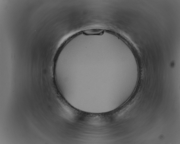 X0000094221222200711241714